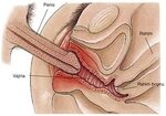 Knoten an der vagina 👉 👌 How do i make my vagina tighter - F